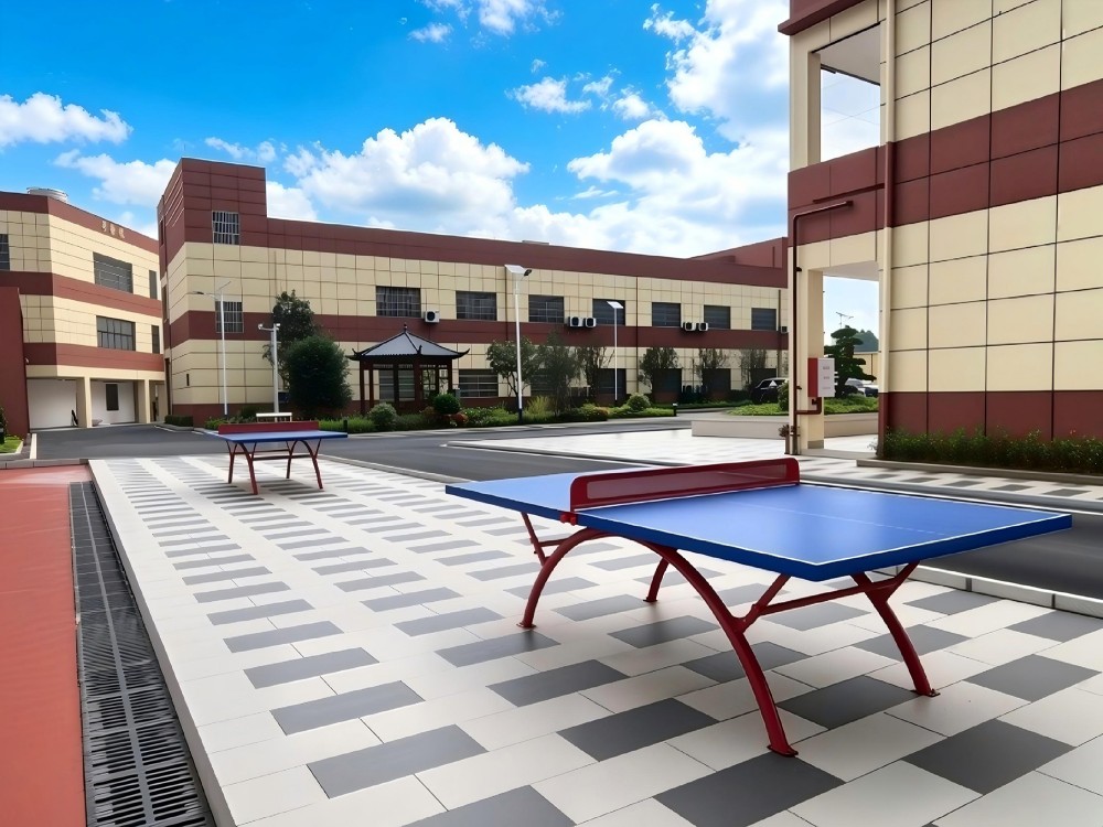 沂州正规问题青少年教育学校具体位置在哪