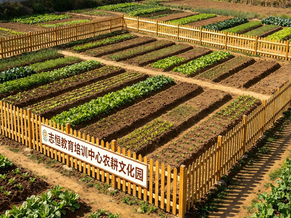 沂州叛逆不听话小孩教育改变学校具体位置与择校走访实录